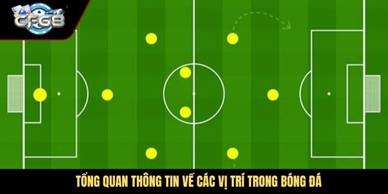 Tổng quan thông tin về các vị trí trong bóng đá